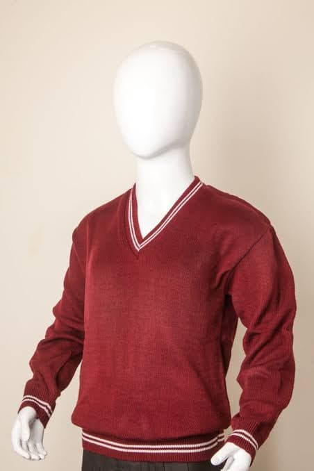 School V-Neck Pullover wholesale product reference